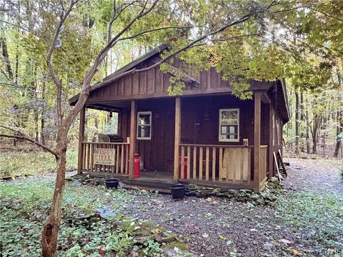 Vacant Land For Sale - 00 County Route 22<br/> Orwell, NY 13144