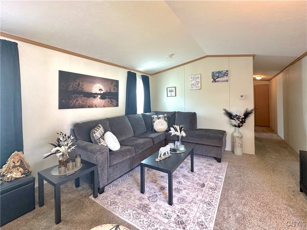 515 Patricia Drive