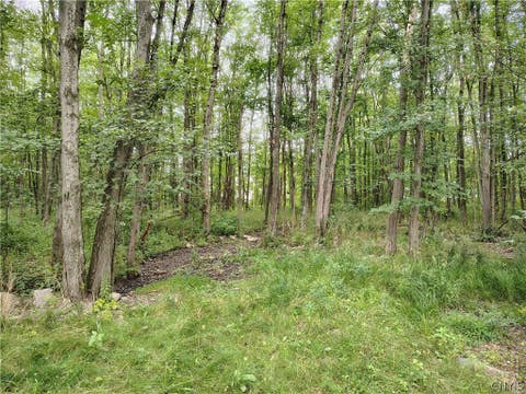 Tiny photo for 309 N Levitt Street, Rome, NY 13440 (MLS # S1708878)