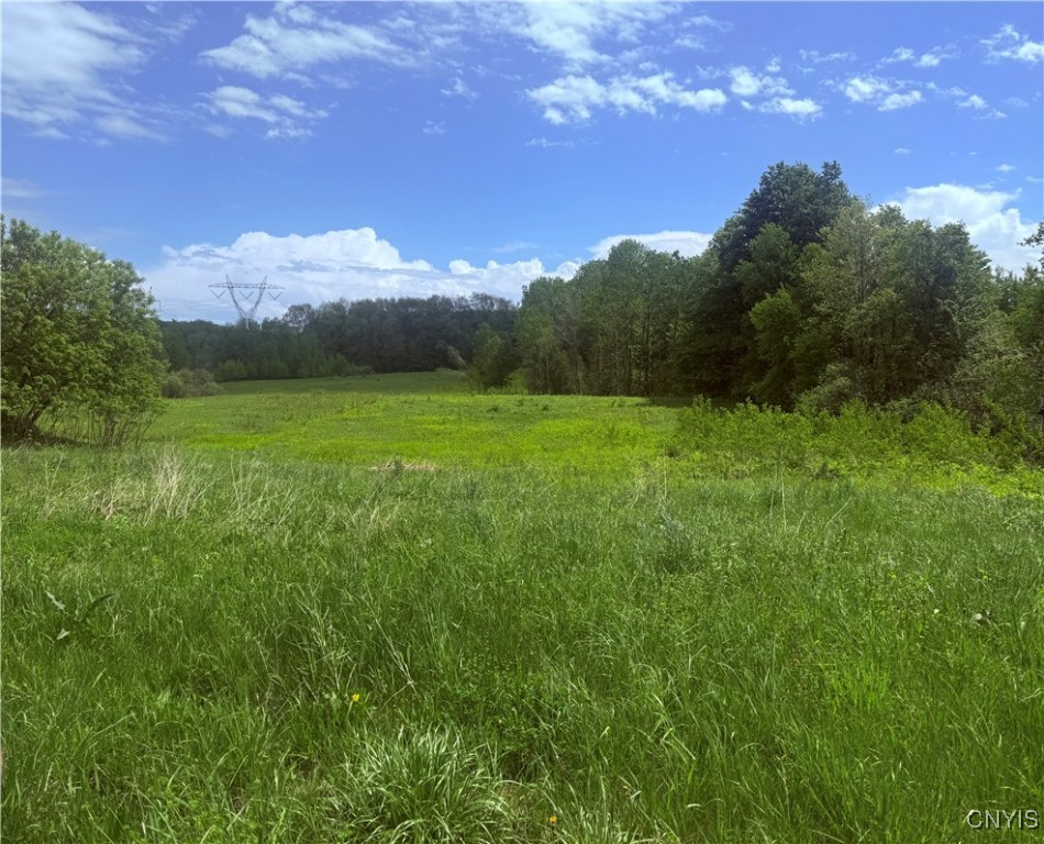 2864 Us Route 11, Mexico, New York image 1