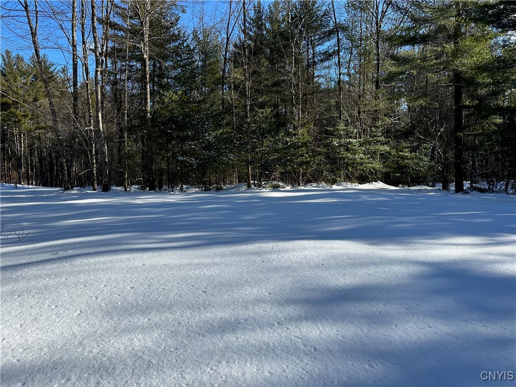 Stone Hill Rd Road, Williamstown, New York image 6