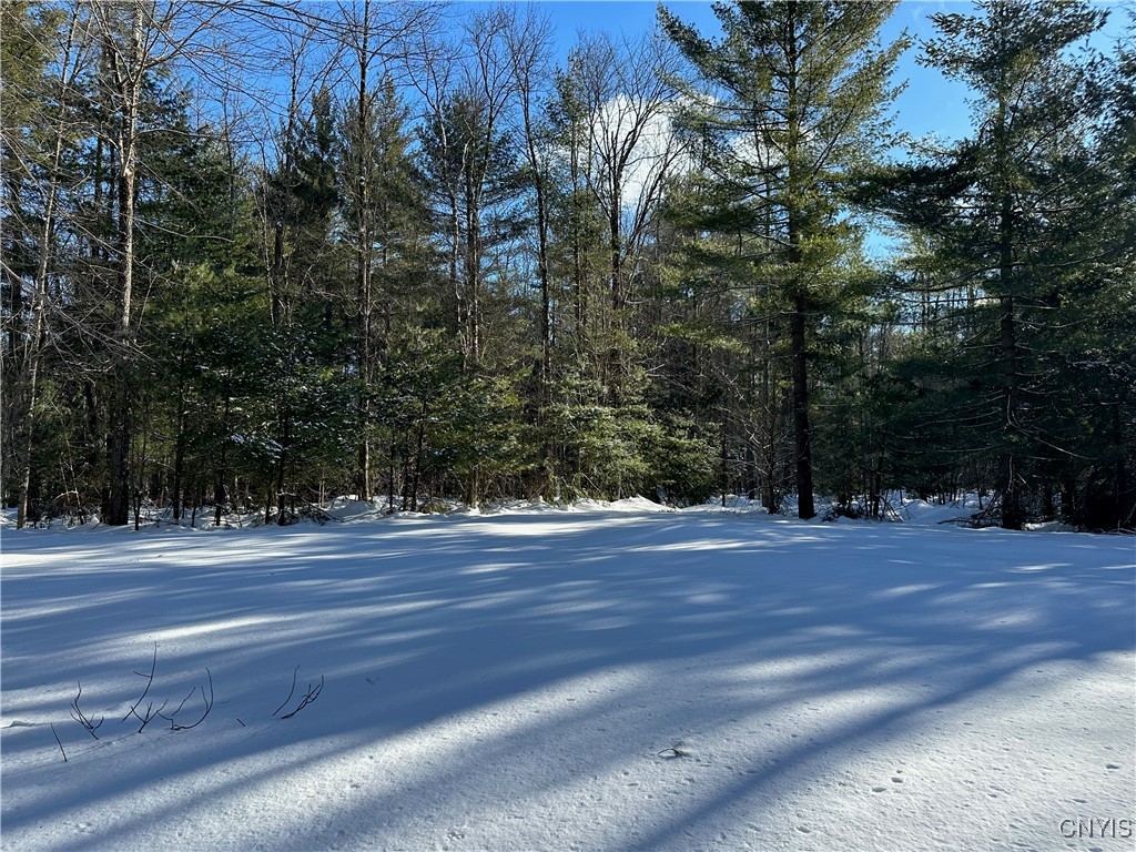 Stone Hill Rd Road, Williamstown, New York image 5