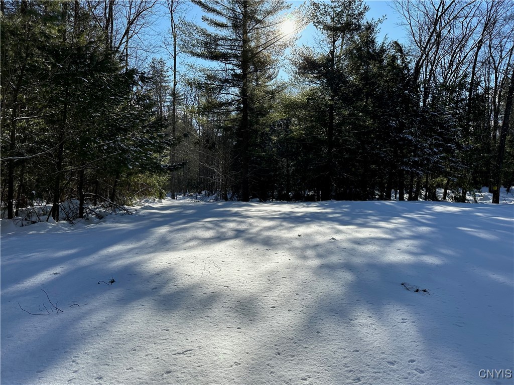 Stone Hill Rd Road, Williamstown, New York image 4