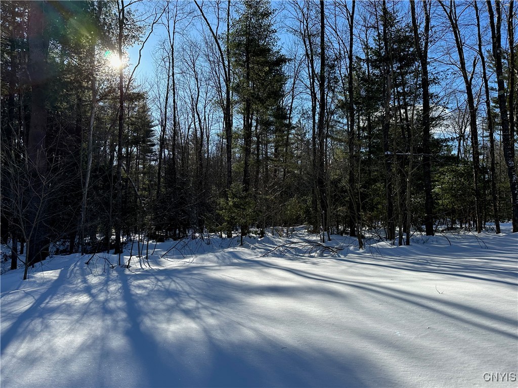 Stone Hill Rd Road, Williamstown, New York image 11