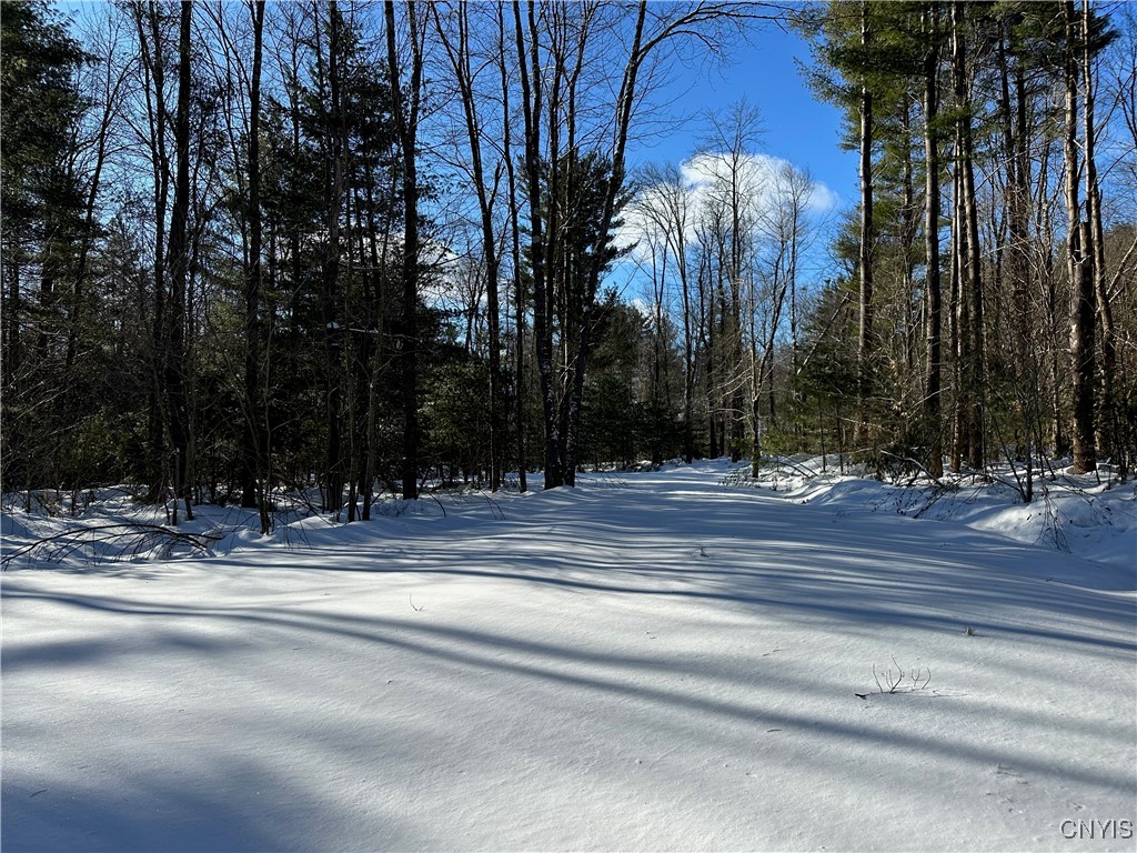 Stone Hill Rd Road, Williamstown, New York image 1