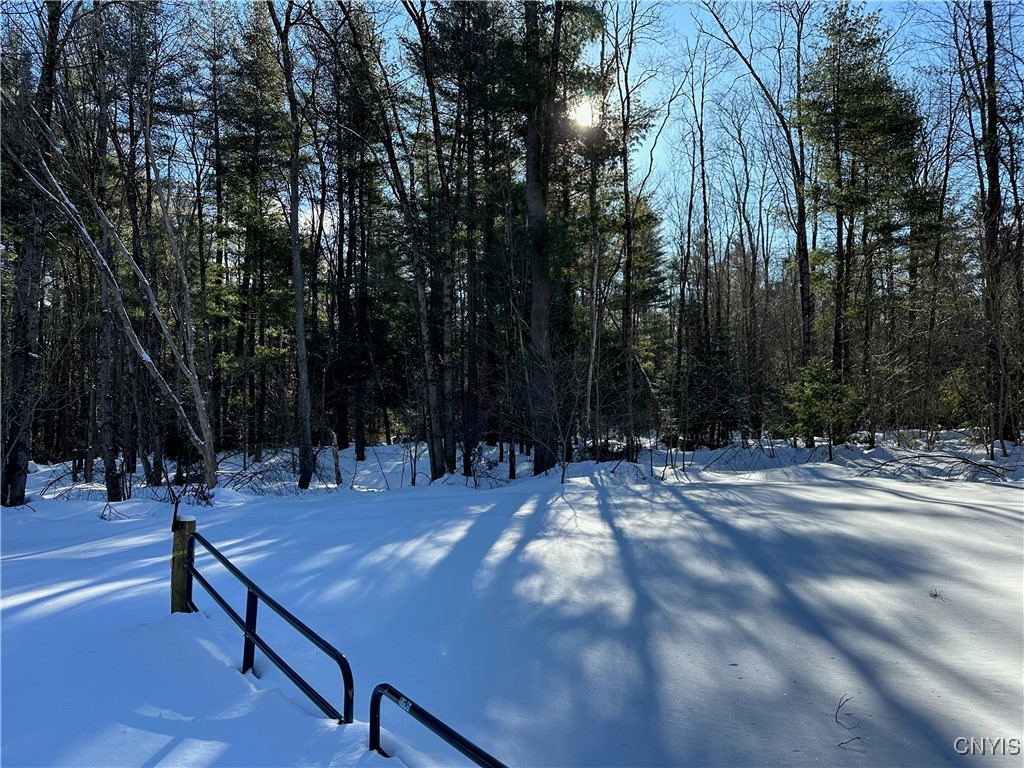 Stone Hill Rd Road, Williamstown, New York image 10