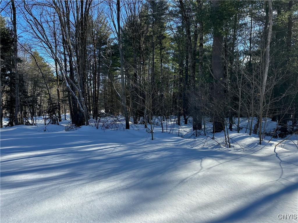 Stone Hill Rd Road, Williamstown, New York image 9