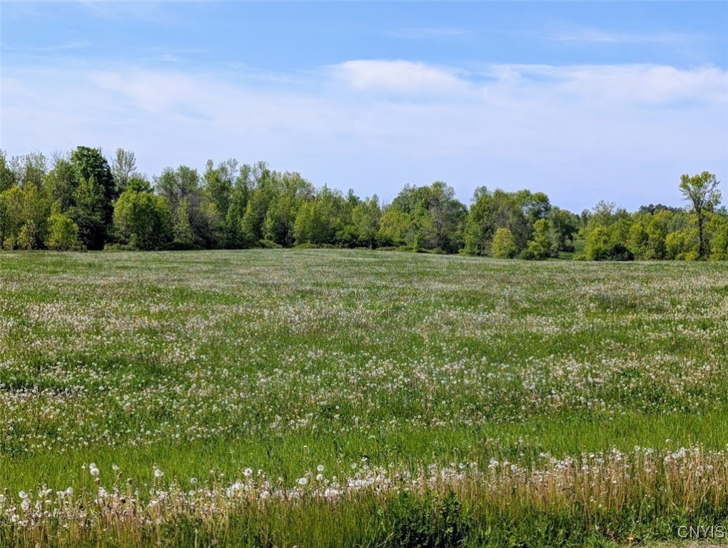 Rosiere Road, Cape Vincent, New York image 1