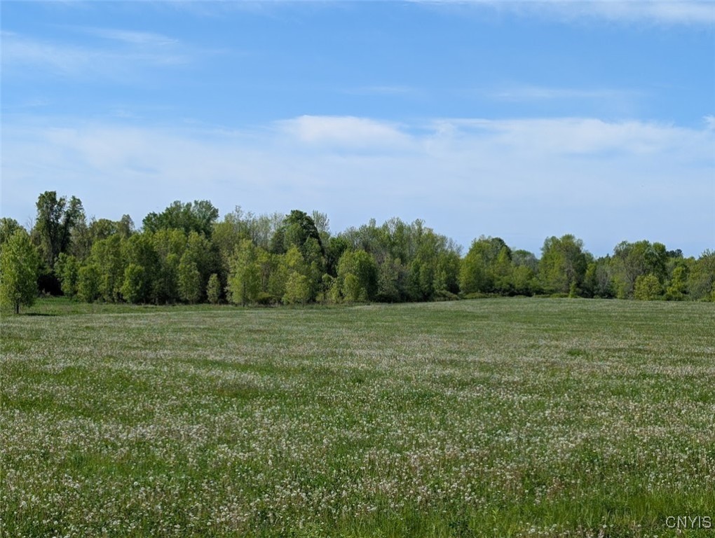 Rosiere Road, Cape Vincent, New York image 14