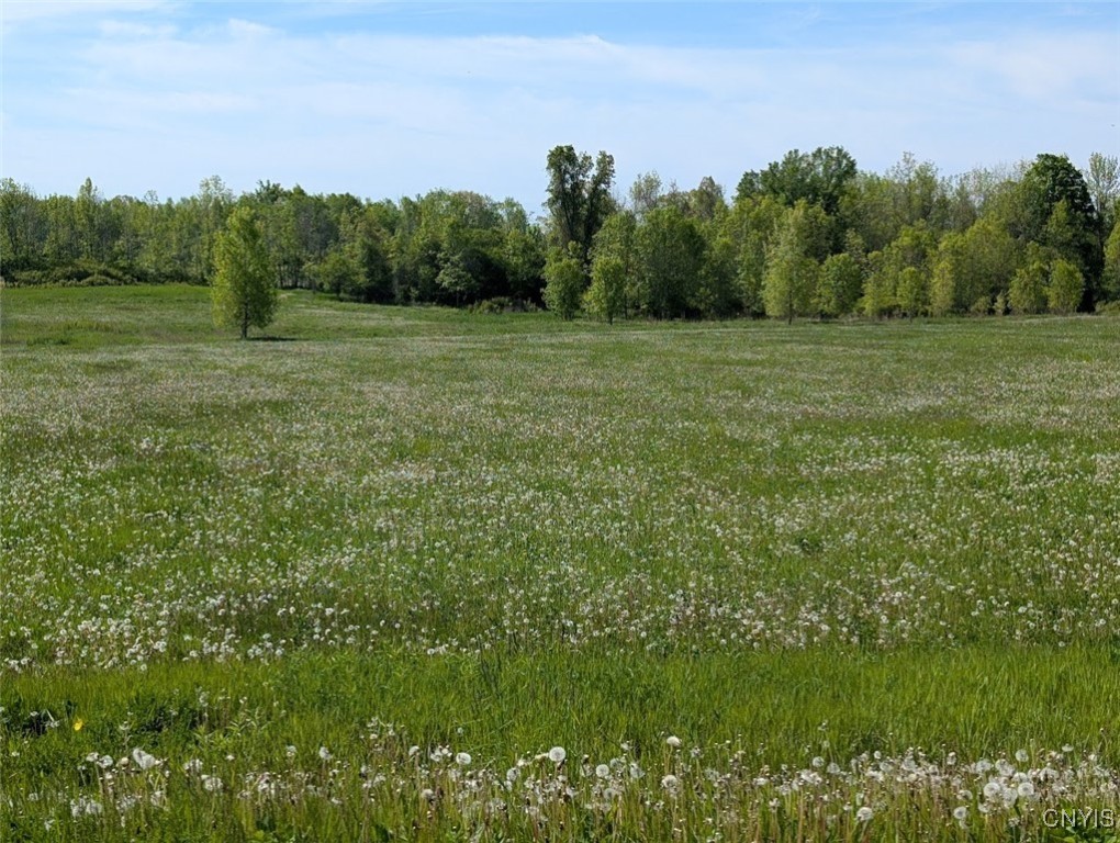 Rosiere Road, Cape Vincent, New York image 11