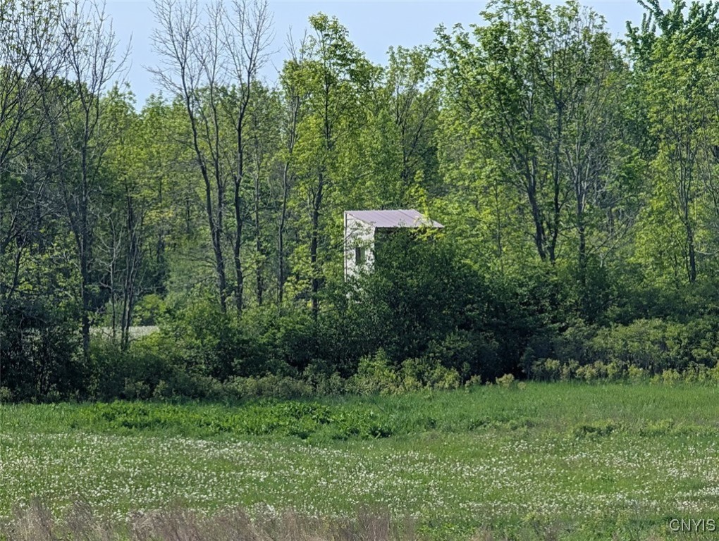 Rosiere Road, Cape Vincent, New York image 4