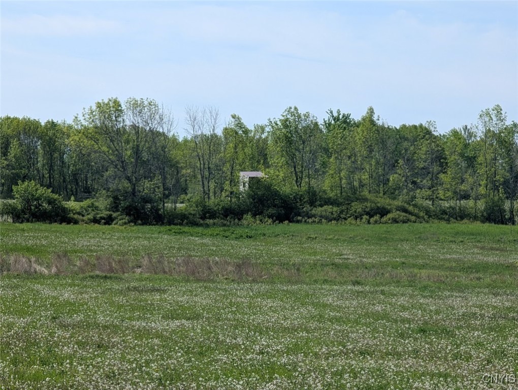 Rosiere Road, Cape Vincent, New York image 2