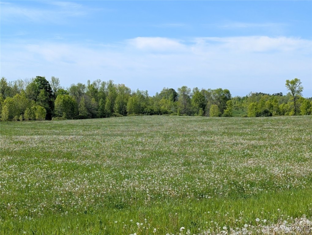 Rosiere Road, Cape Vincent, New York image 9