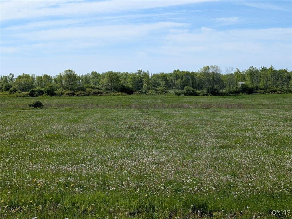 Rosiere Road, Cape Vincent, New York image 15