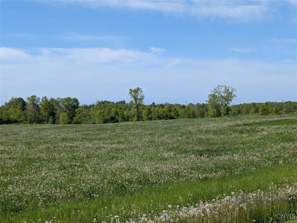 Rosiere Road, Cape Vincent, New York image 10