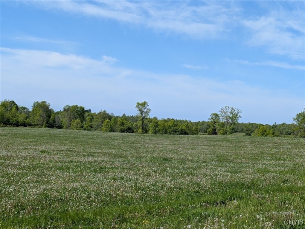 Rosiere Road, Cape Vincent, New York image 13