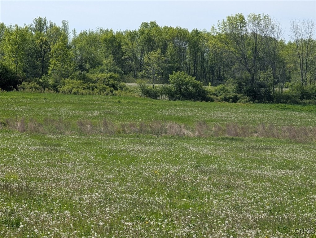 Rosiere Road, Cape Vincent, New York image 16