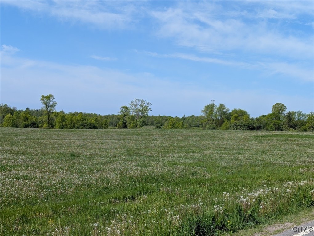 Rosiere Road, Cape Vincent, New York image 12