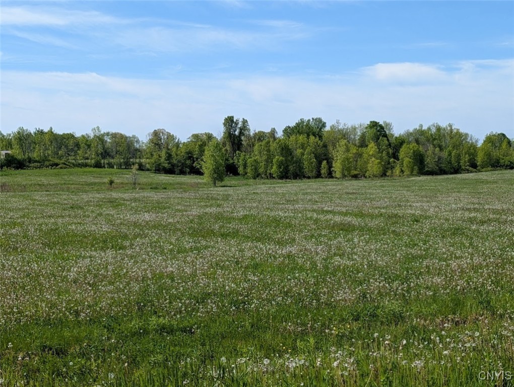 Rosiere Road, Cape Vincent, New York image 5