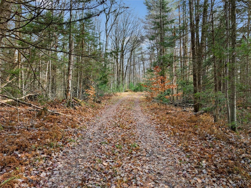 0 Christman Road Road