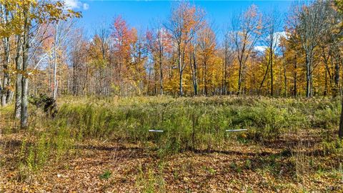 Vacant Land For Sale - 32 Wigwam Drive<br/> Oswego County, Sandy Creek, NY 13142