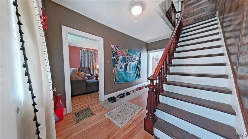 233 Elm Street