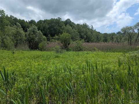 Photo of 0 Tannery Road, Rome, NY 13440 (MLS # S1690198)