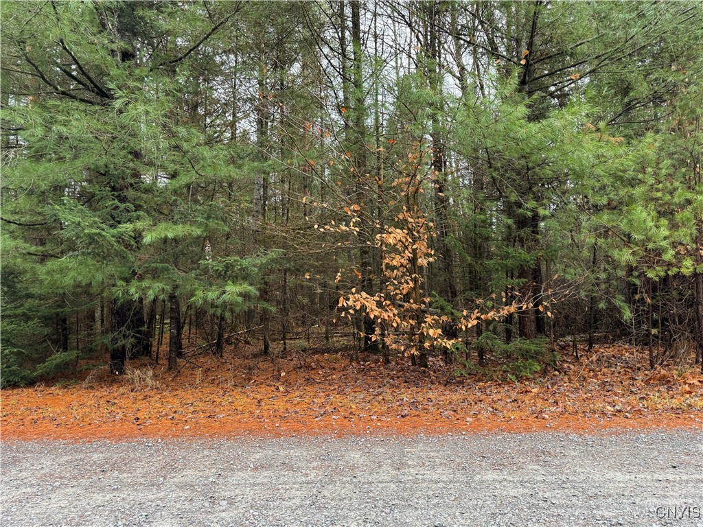 Lot #3 Black Bear Bend Ct, Boonville, New York image 1