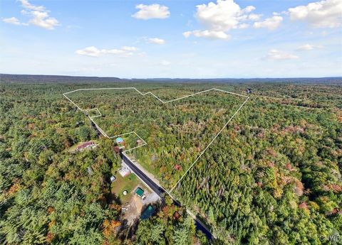 Dutchtown Road Dolgeville NY 13329