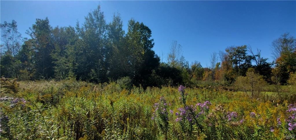Cross Creek Drive, Clay, New York image 6