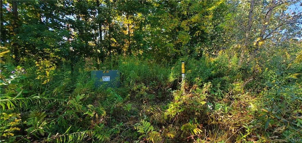 Cross Creek Drive, Clay, New York image 4