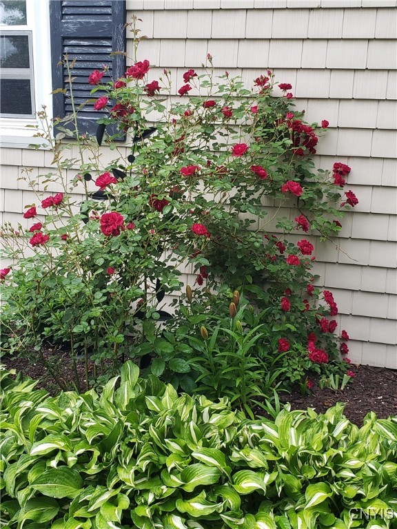 15456 Fuller Road, Adams, New York image 17