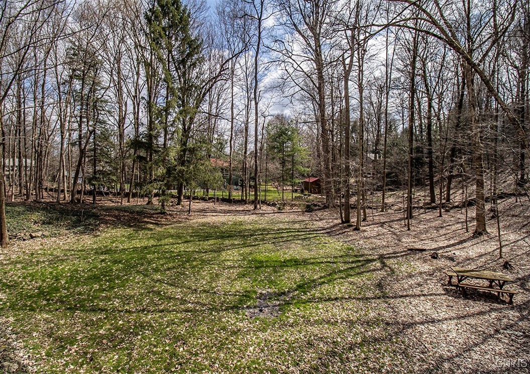 7442 Silverwood Drive, Manlius, New York image 36