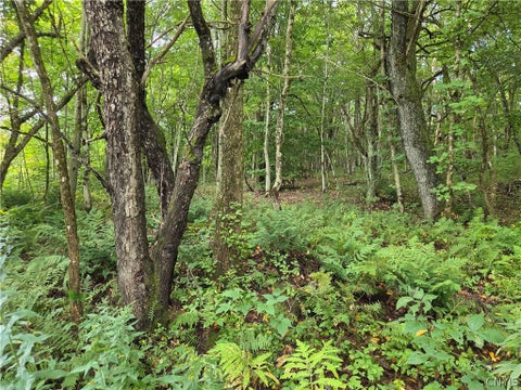 Vacant Land For Sale - Seelman Truck Trail Road<br/> West Turin, NY 13325