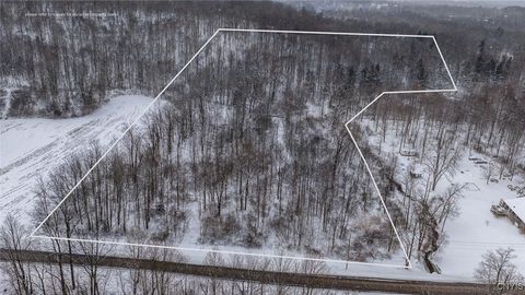 Vacant Land For Sale - 7657 Wadsworth Road<br/> Wayne County, Wolcott, NY 14590