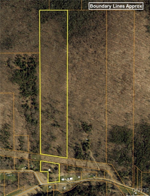 Snowball Hollow Road