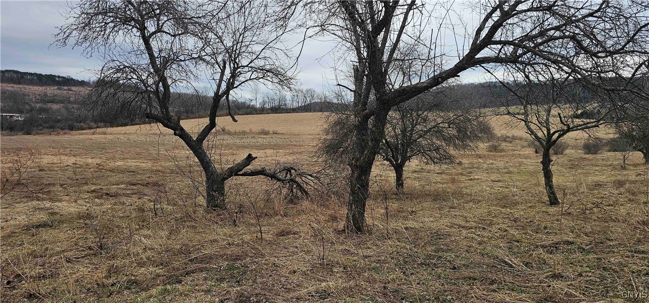 1348 State Highway 80, Smyrna, New York image 3