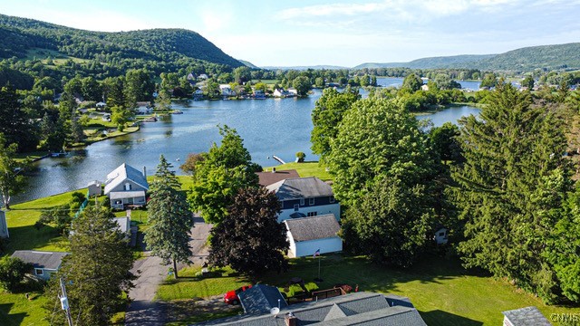 6014 Morningstar Manor Dr, Homer, New York image 39