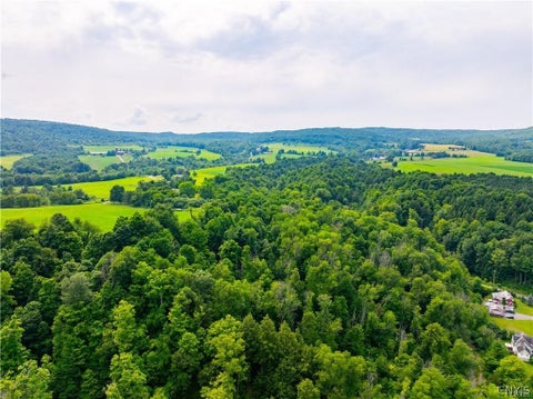 Tiny photo for 3883 State Route 28, Herkimer, NY 13350 (MLS # S1724300)