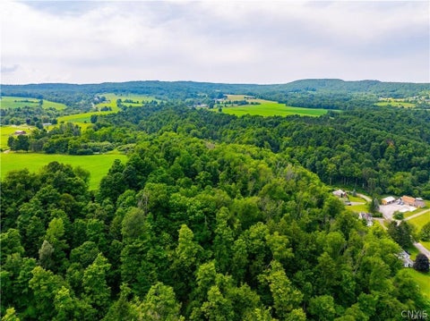 Tiny photo for 3883 State Route 28, Herkimer, NY 13350 (MLS # S1724300)
