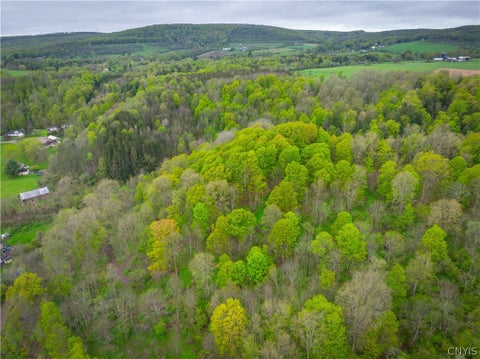 Tiny photo for 3883 State Route 28, Herkimer, NY 13350 (MLS # S1724300)