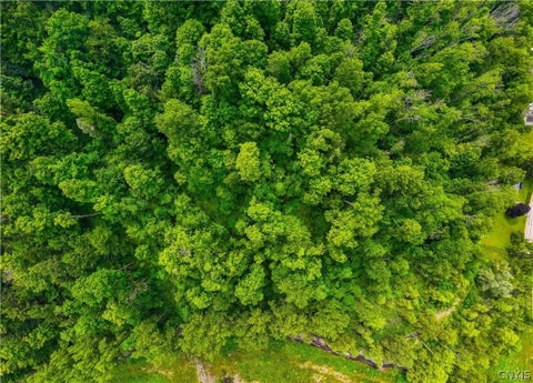 Tiny photo for 3883 State Route 28, Herkimer, NY 13350 (MLS # S1724300)