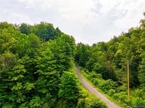 Tiny photo for 3883 State Route 28, Herkimer, NY 13350 (MLS # S1724300)