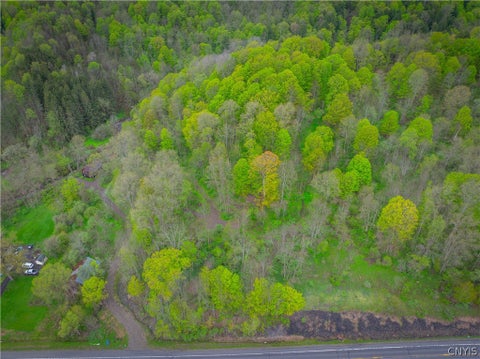 Photo of 3883 State Route 28, Herkimer, NY 13350 (MLS # S1724300)