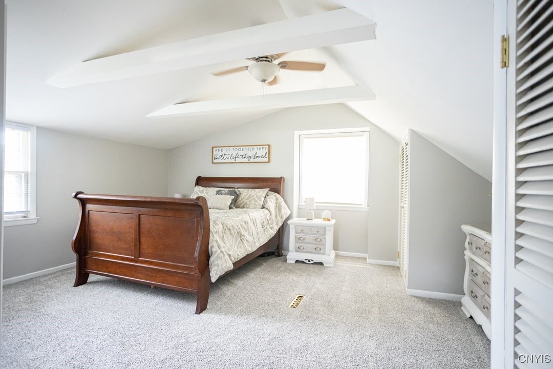 303 Forest Drive, Cicero, New York image 21