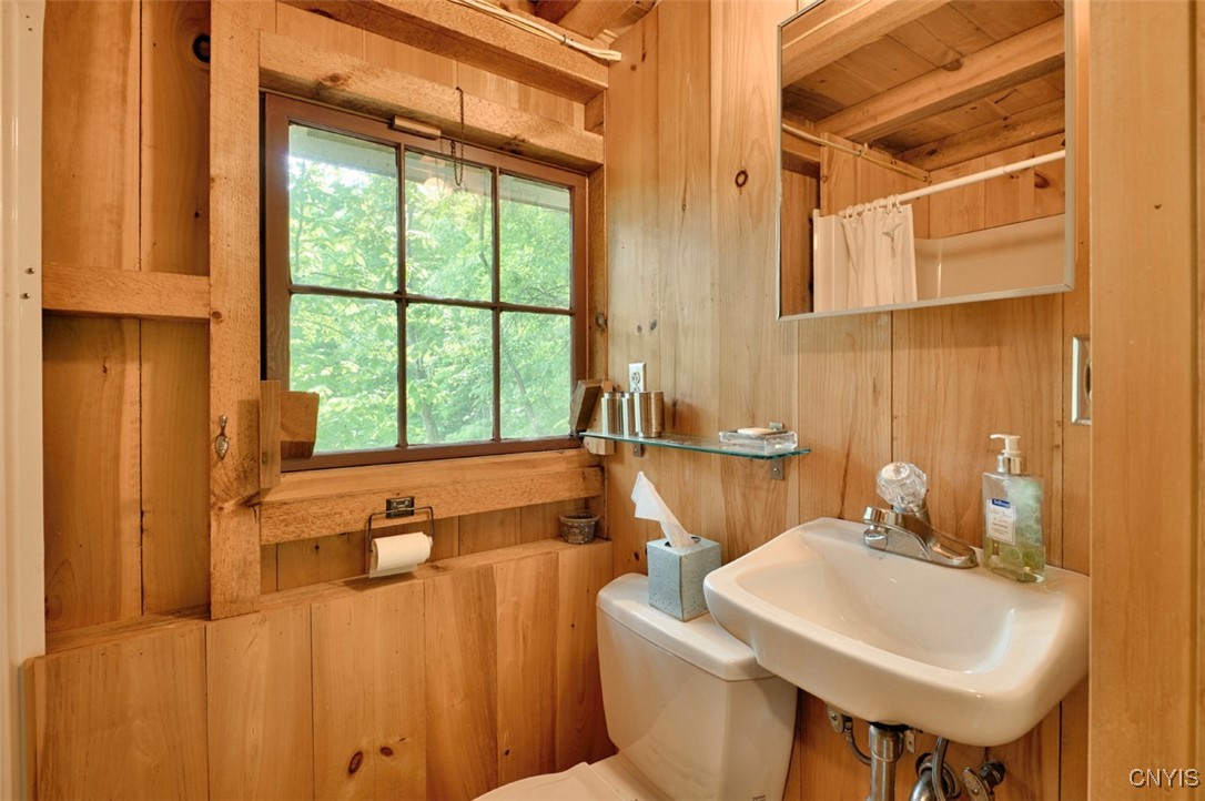 43555 School House Road, Clayton, New York image 30