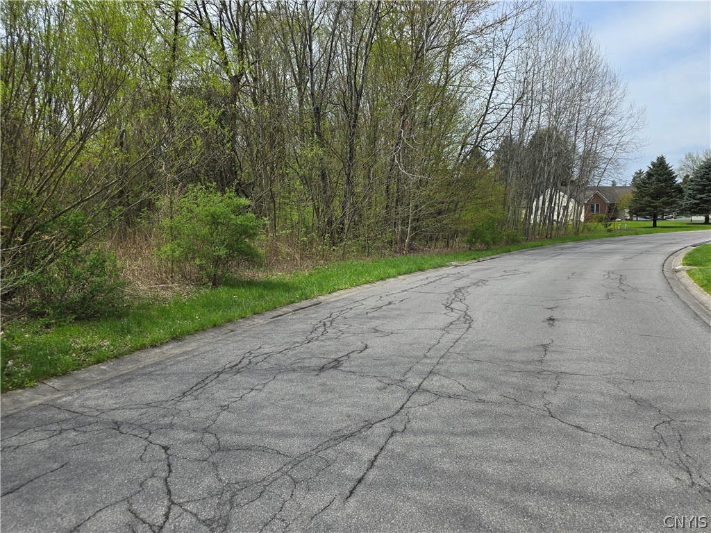 106 Benedict Manor Drive