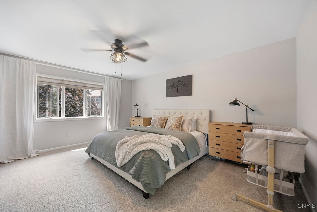 8152 Verbeck Drive, Manlius, New York image 21