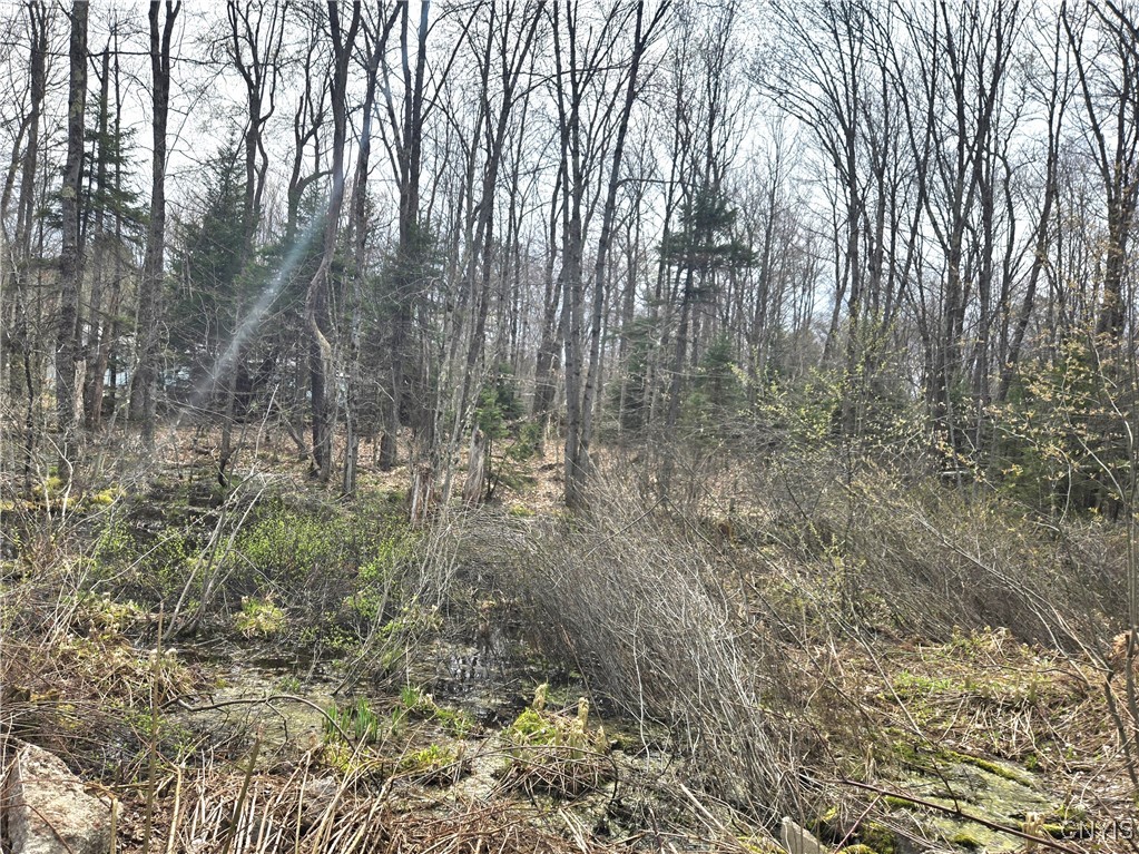 4023 County Route 17, Redfield, New York image 2