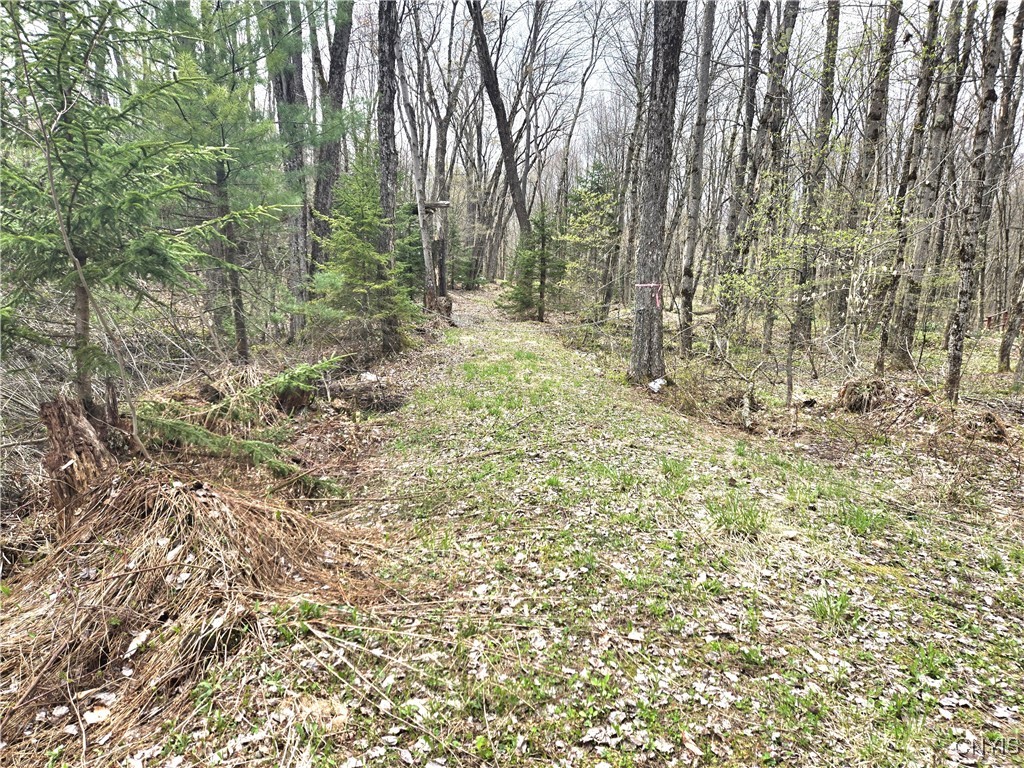 4023 County Route 17, Redfield, New York image 3